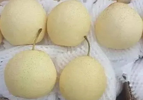 鸭梨：十个月储存期