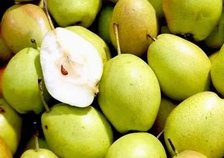 香梨：12个月储存期